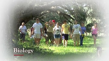 Major in Science and Math in College