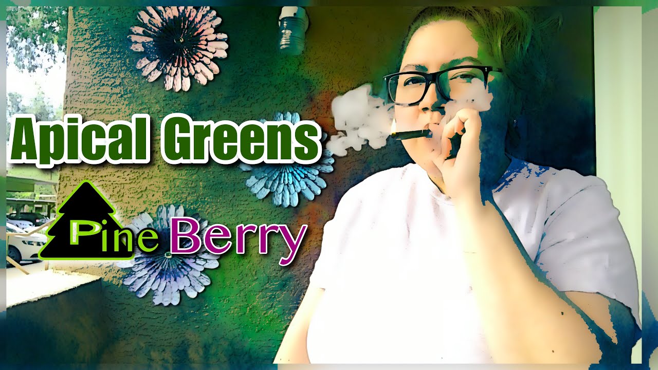 Apical Greens Pine Berry CBD hemp flower review ( Grandma was loving it )