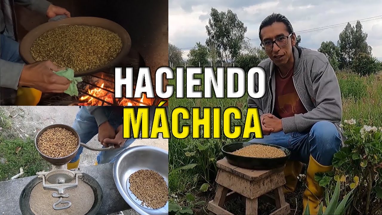 ASÍ ES CÓMO SE HACE LA MÁCHICA Y UN BUEN CHAPO!!!