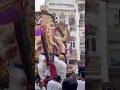 Ganesh Festival 2025 #mumbai #vadodara #ganeshchaturthi #ganesh #asia #viral #fypシ゚viral #trending