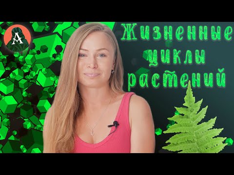 ЖИЗНЕННЫЕ ЦИКЛЫ ВЫСШИХ РАСТЕНИЙ || БОТАНИКА