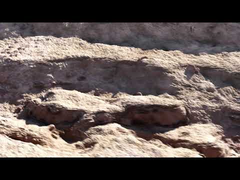True-Terrain 4.0 Procedural ground Teaser