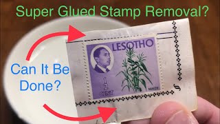 Can We Remove Stamps Super-Glued to an Album?