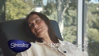 Copenhagen Stressless Dec 22