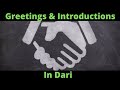 Learn Dari - Lesson 4 (Greetings and Introductions)