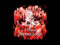 BellyJay Montagem Hikari 1 Hour Perfect Loop