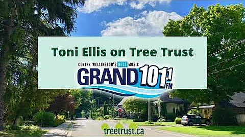 Toni Ellis on Tree Trust
