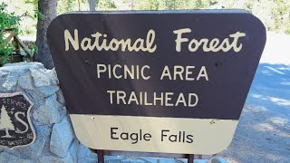 Father and Son: Eagle Falls Hike