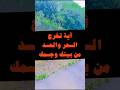 هذه الأية تخرج السحر والحسد من بيتك وجسدك 