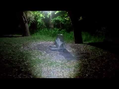 pic Olmos Basin Park Picnic Unit #30 youtube
