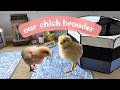 Chick Brooder Tour | Preparing for our First Chickens