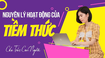 NGUYÊN LÝ HOẠT ĐỘNG CỦA TIỀM THỨC - TỔNG NGHIỆP - BẢN ĐẦY ĐỦ