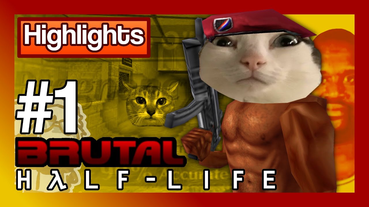 Brutal Half-Life pt. 1 (Highlights)