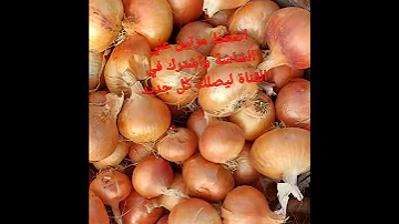 البصل 10 5شاهد اسعار البصل الاحمر والابيض اليوم 