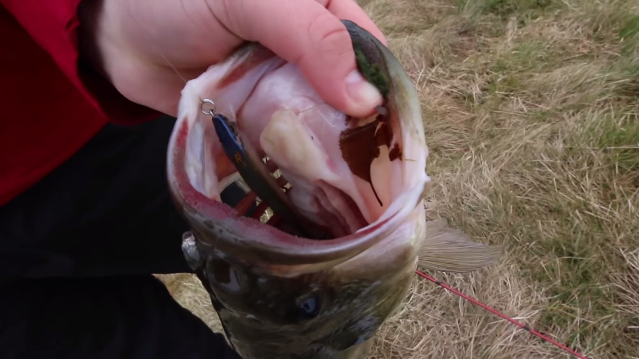 BIG BASS On Stickbaits
