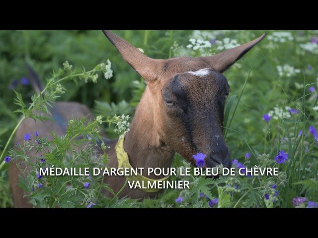 La ferme du Mont Tabor - Valmeinier