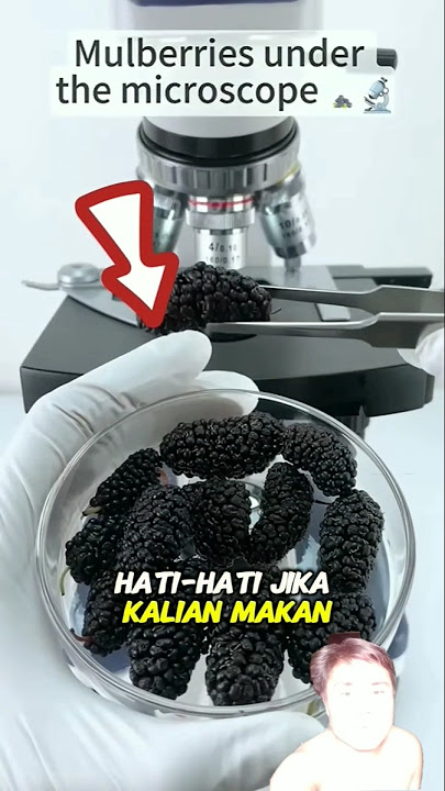 Bu4h 4s3m m4nis b4ny4k m4nf44tny4😱⁉️ #shorts #buah #reels #fyp #trending #viral #youtubeshorts