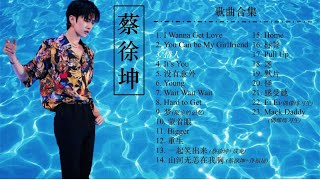 [0802 CAI XUKUN BIRTHDAY SPECIAL] Cai Xukun Best 20 Songs 蔡徐坤20首歌歌曲串烧