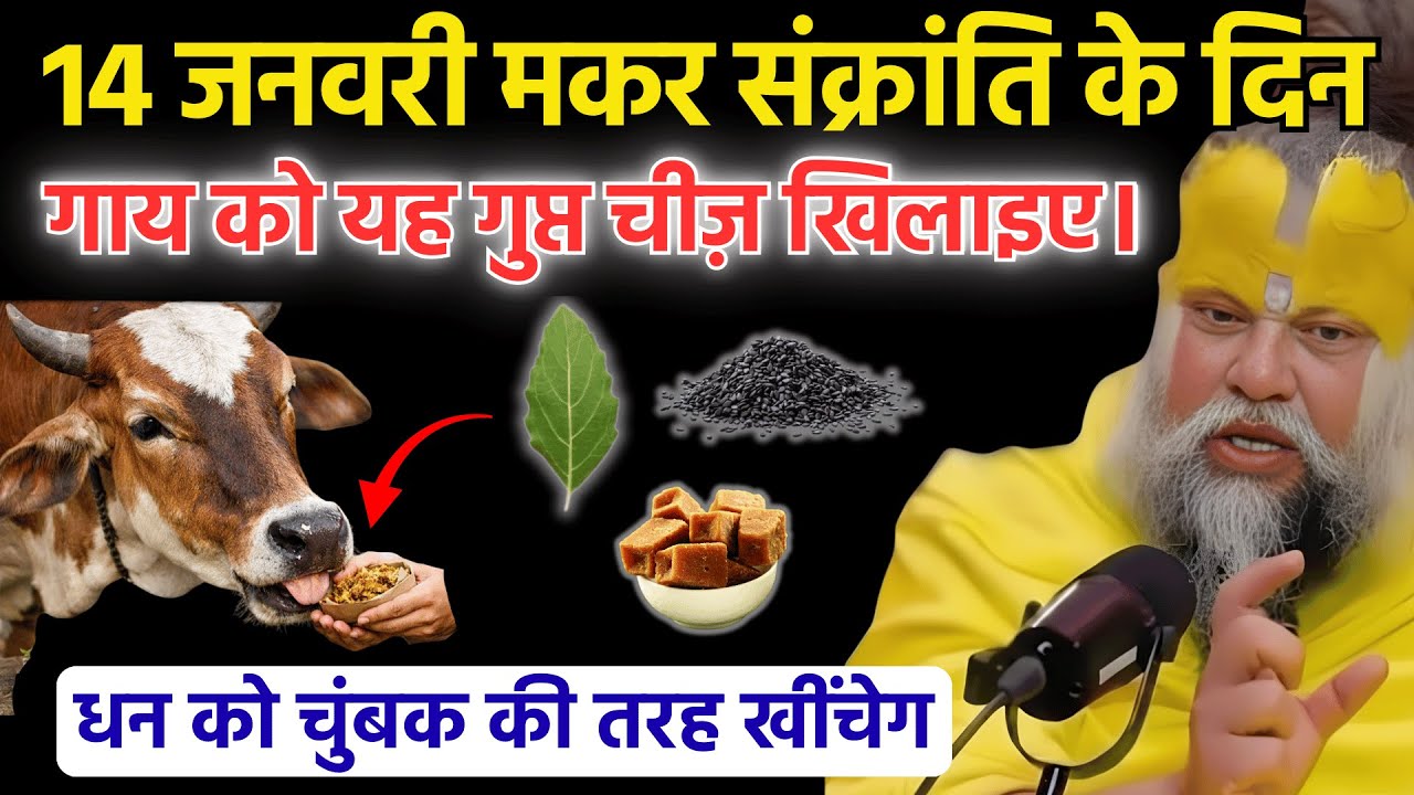 मकर संक्रांति के 3 दिन बाद यह एक गुप्त दान कर दीजिए – कभी पितृदोष नहीं लगेगा