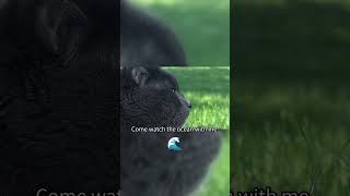 Productivity Tips 🐱