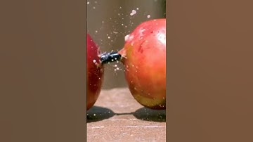 Apple 🍎 Slow motion video | Slow-Mo | Short | Shorts | #shorts #shortvideo #short
