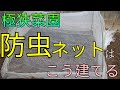 【防虫ネット】人参の間引きと防虫ネット【家庭菜園】