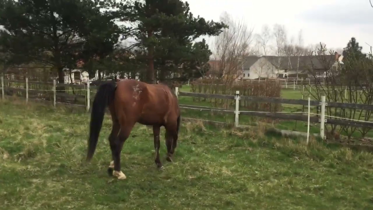 Přejeme vám krásné Velikonoce ☀️