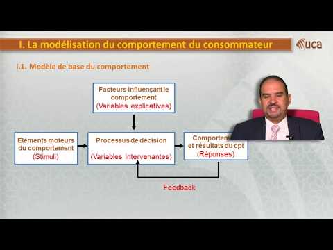 Vidéo: Quels sont les modèles de comportement des consommateurs ?