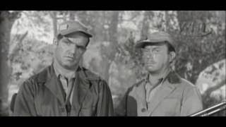 lassie S02E09 wild duck, the