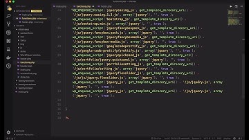 Wordpress 06 - Añadiendo Archivos de Javascript al Tema o Template