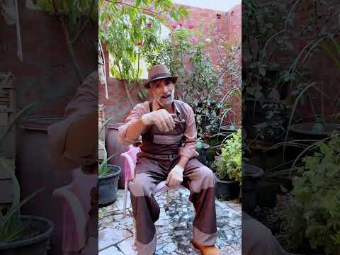 أسرار كثافة الورد البلدي