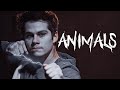 Void stiles  animals