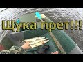 Гигантские щуки берут на ВСЕ!!! ЩУКА ПРЕТ!!! Осенняя рыбалка 2018.