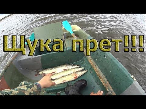 Гигантские щуки берут на ВСЕ!!! ЩУКА ПРЕТ!!! Осенняя рыбалка 2018.