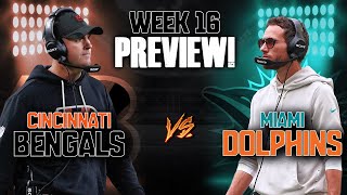 Cincinnati Bengals Vs Miami Dolphins Week 16 Preview!