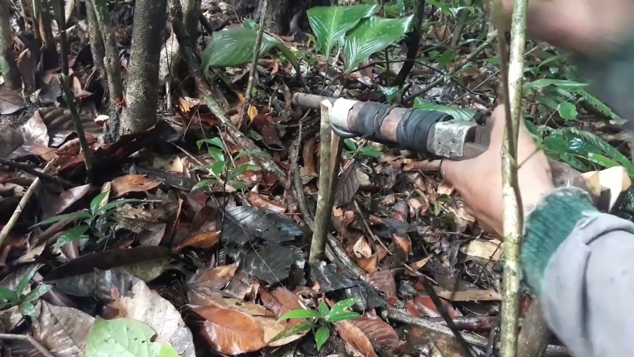 👍🙏💪 arrumei um badog💥💥💯 para tatu✌✌