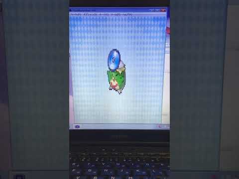 ポケモンベガ 途中から実況5