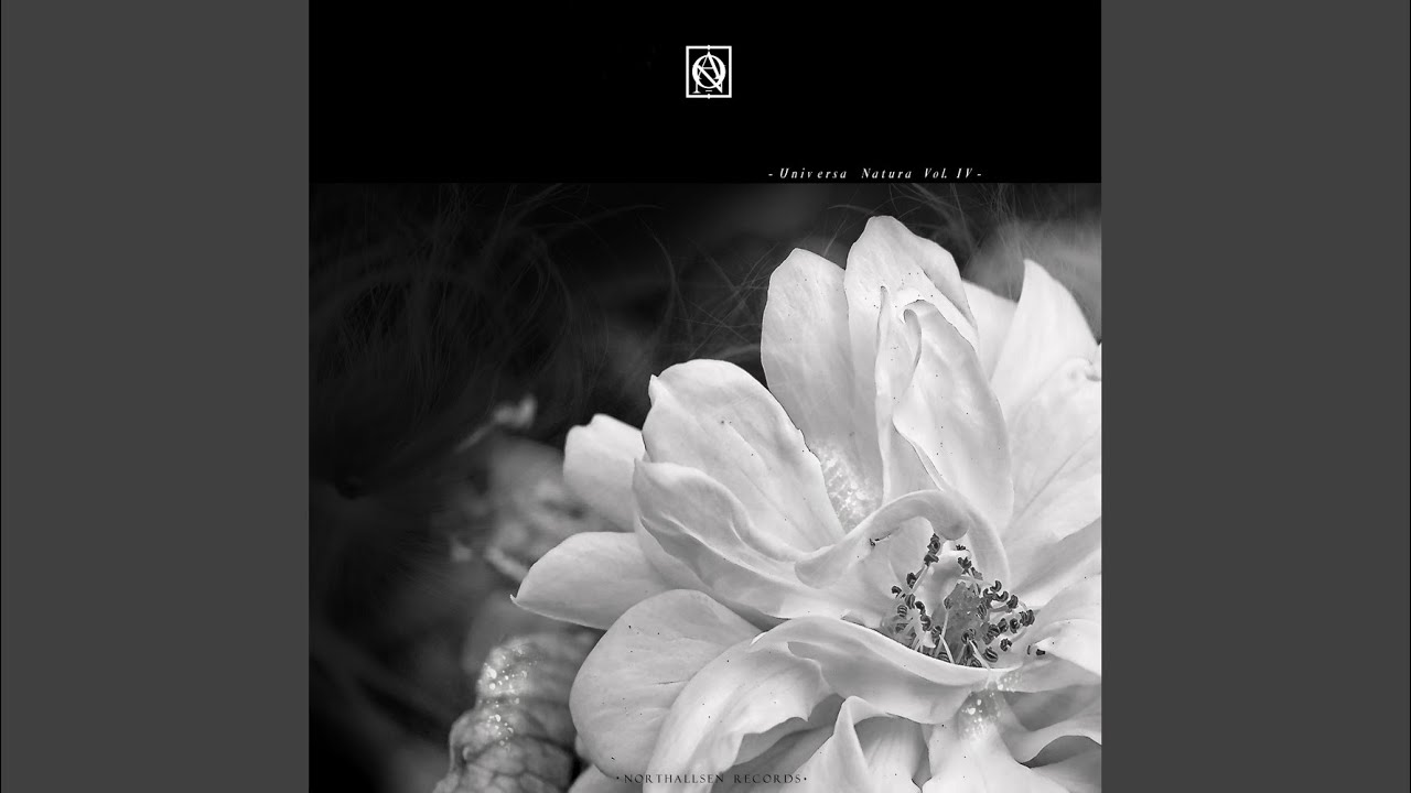 Futuristic Opera (Original Mix)