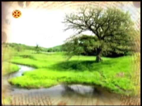 მართალი პეტრე მეზვერეყოფილი