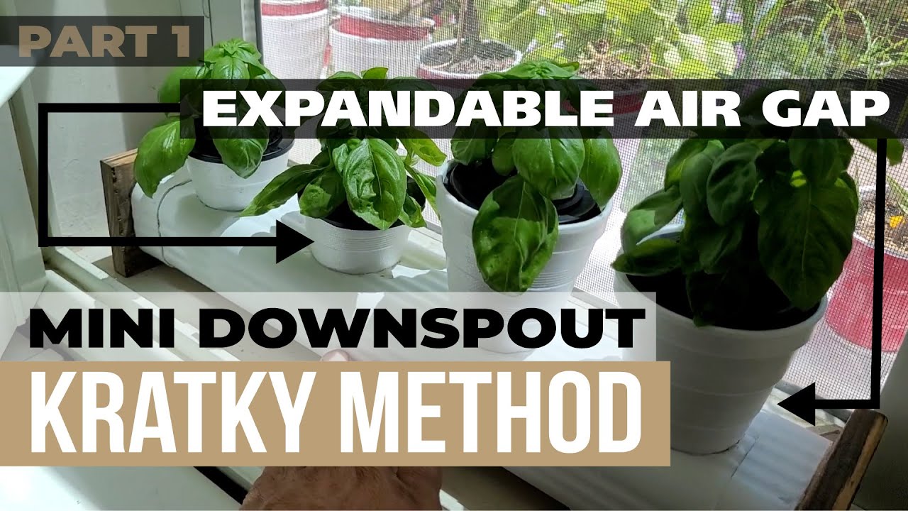 Kratky Hydroponic Downspout With Expandable Air Gap Experiment DIY