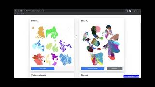 [Tutorial] Using the data portal to explore the human embryonic and fetal lung cell atlas