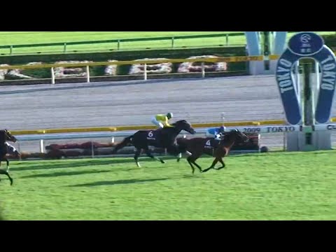 毎日王冠  1着カンパニー号 （横山典弘騎手） 2009年10月11日（日）東京競馬場