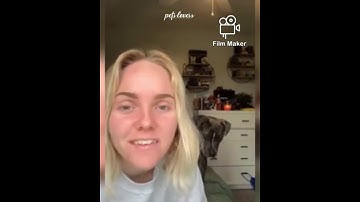 😂time warp scan tiktok funny dogs and cats