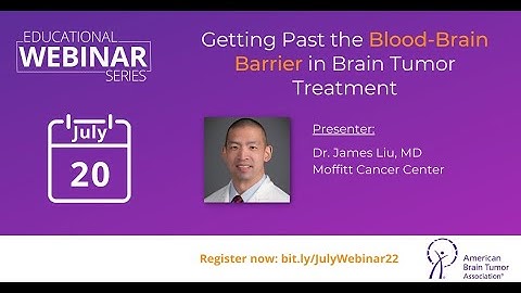 Getting Past the Blood-Brain Barrier in Brain Tumor Treatment