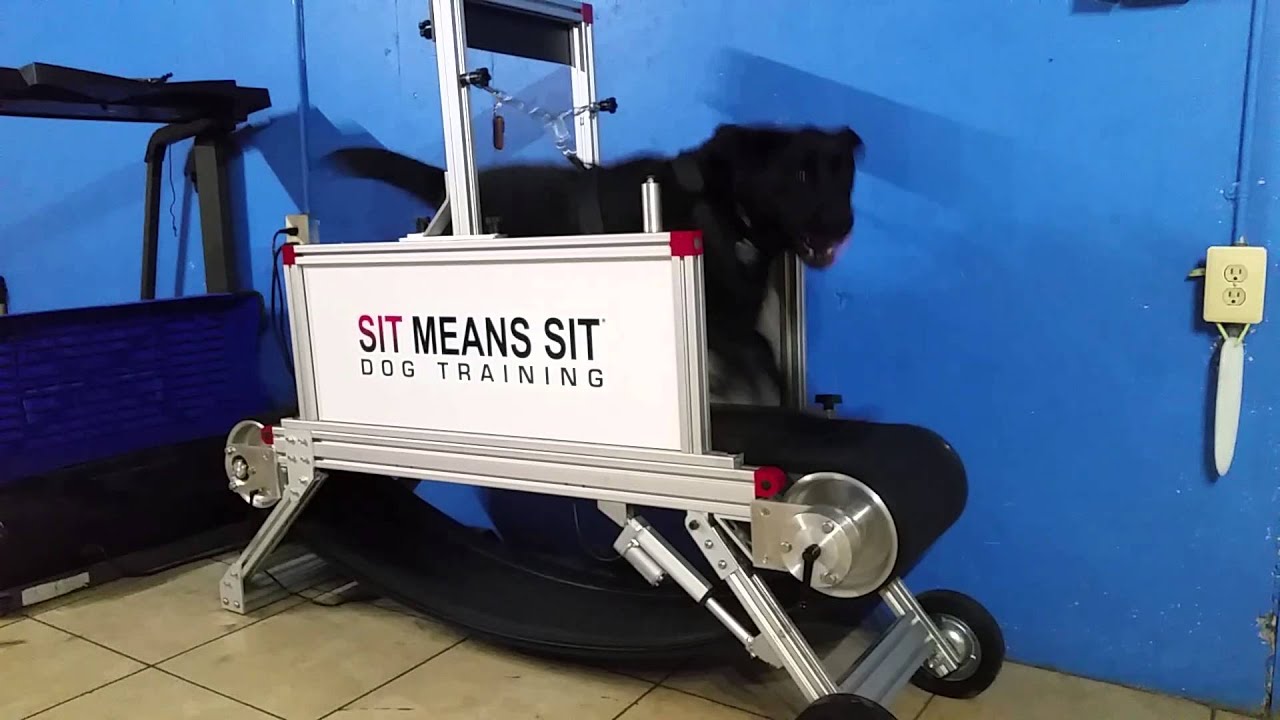 Jem on the SMS edition Dog Trotter K9 slat mill YouTube