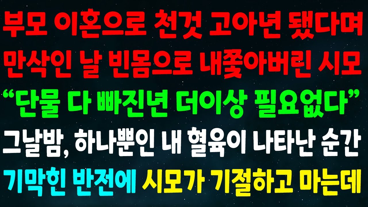 Outline Video (반전신청사연) 부모이혼으로 천것 고아년 됐다며 만삭인 날 내쫓은 시모 "단물 다 빠진년 필요없다" 그날밤 하나뿐인 혈육이 나타난 순간 기막힌 반전에 시모가 기절하고 마는데