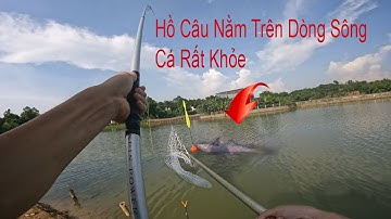Câu Lục Trắm Đen Chạy Cháy Máy - Hồ Câu Nằm Trên Dòng Sông