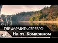 Русская рыбалка 4 🐟 🎣  Где фармить серебро на Озере Комарином