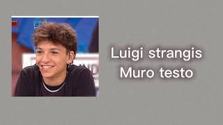 Luigi strangis Muro testo