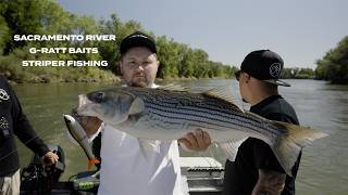 sacramento river  G-Ratt baits striper fishing